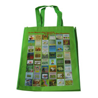 葫芦岛LB11覆膜无纺布广告袋